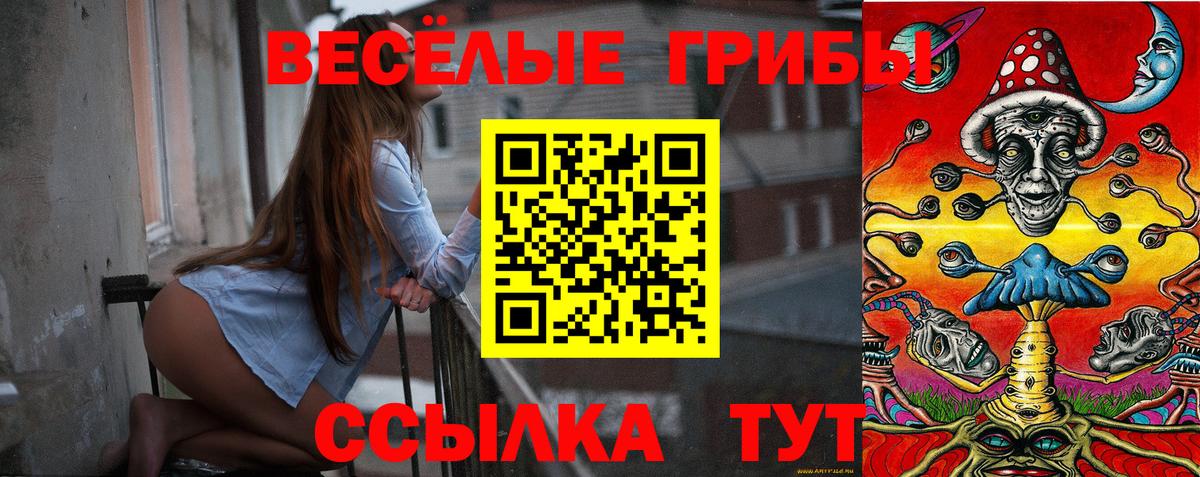 Галлюциногенные грибы мицелий  Вход с VPN  Ковров 