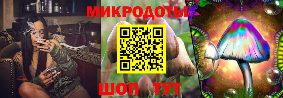 Псилоцибиновые грибы MAGIC MUSHROOMS Ковров